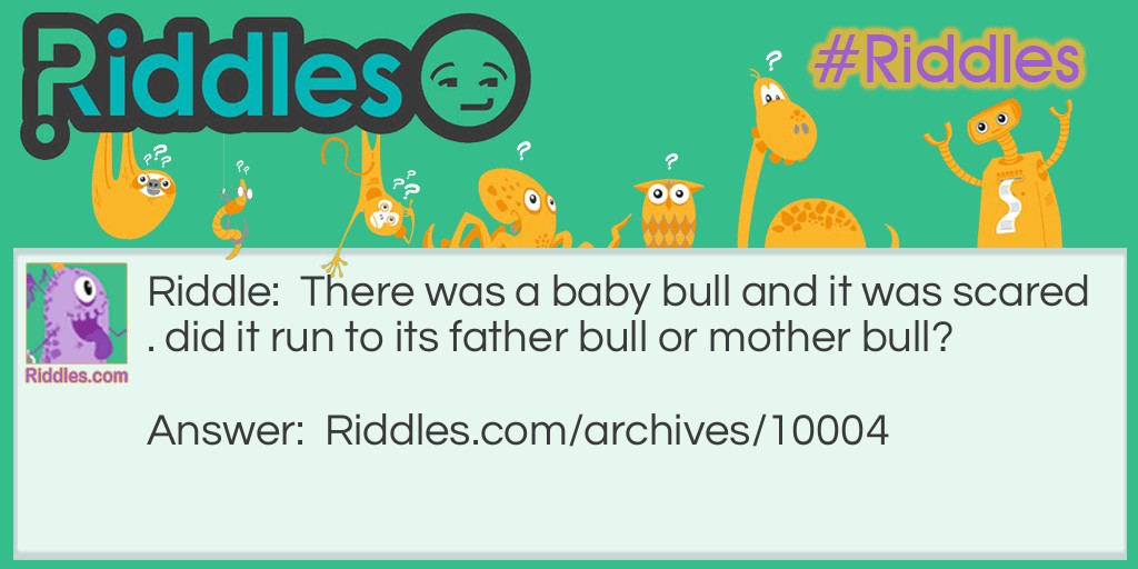 Baby Bull Riddle Meme.