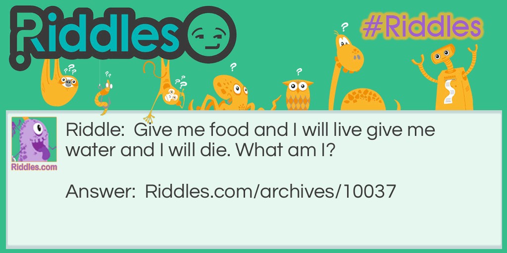 Feed Me! Riddle Meme.