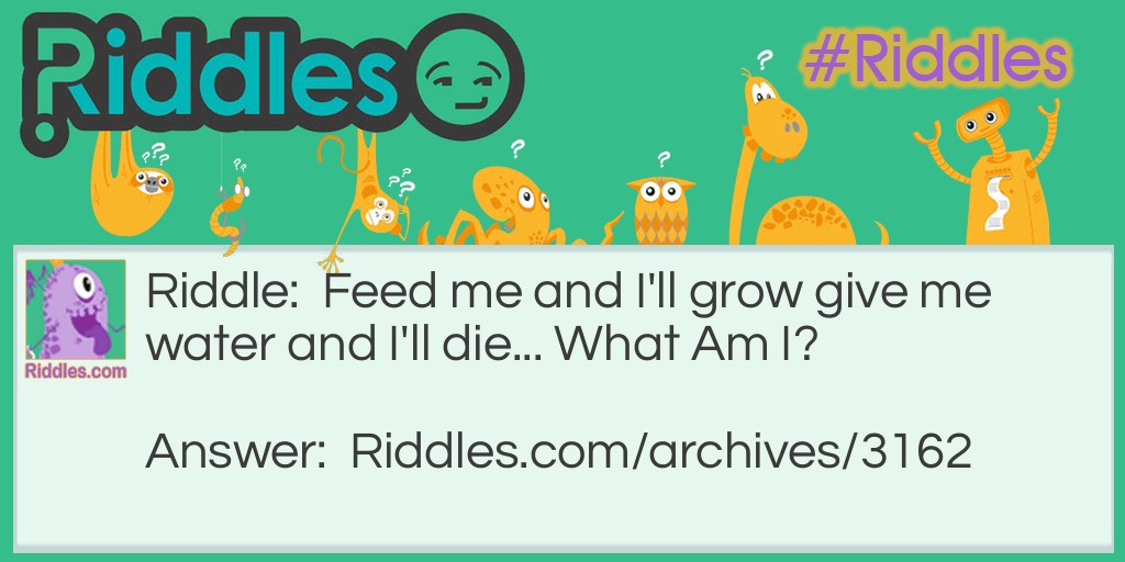 Feed Me Riddle Meme.