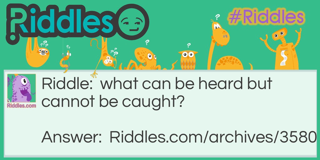 what is it? Riddle Meme.