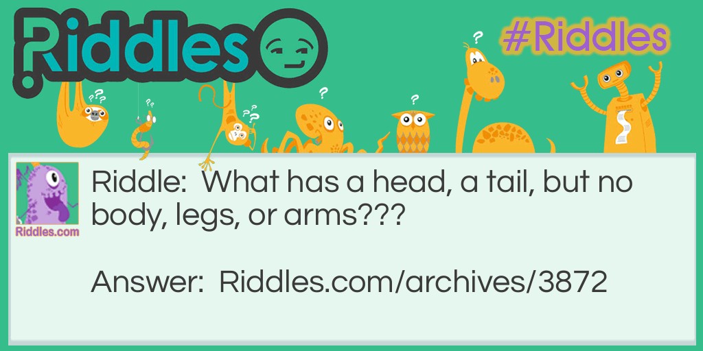 What has a head, a tail, but no body, legs, or arms? Riddle Meme.