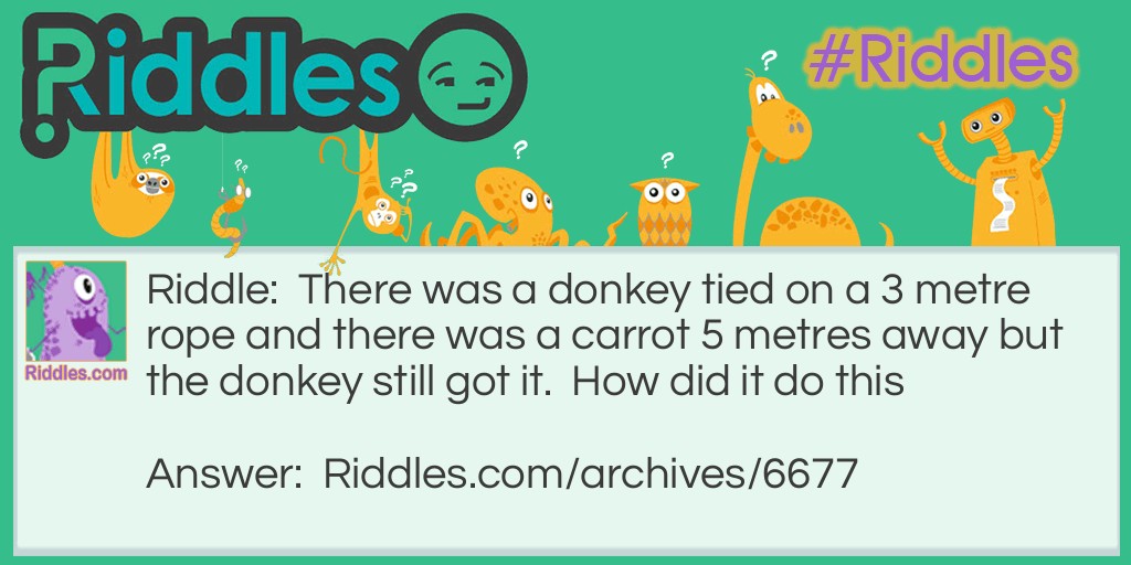 Poor donkey Riddle Meme.