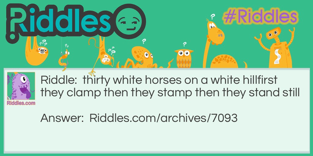 thirty white horses Riddle Meme.