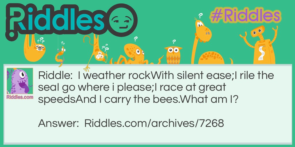 I weather rock Riddle Meme.