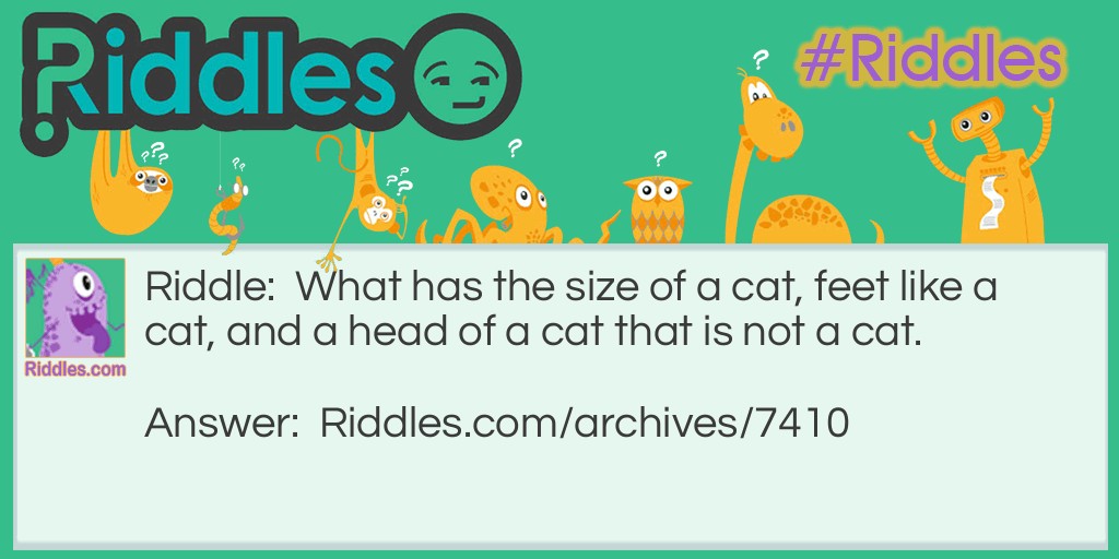 Cat Riddle Meme.