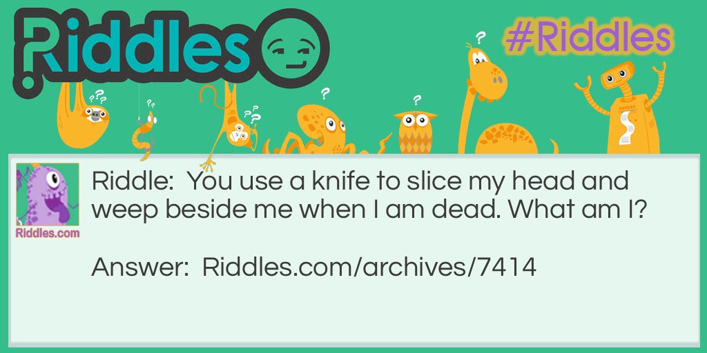 WeIrD Riddle Meme.