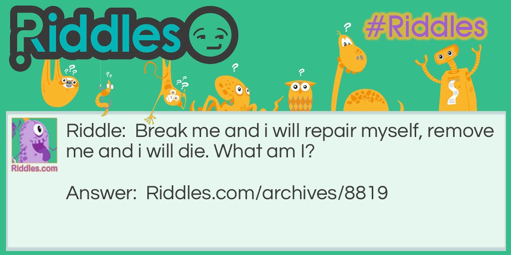 what am i? Riddle Meme.