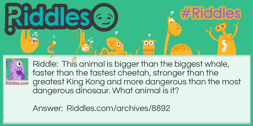 What Animal? Riddle Meme.