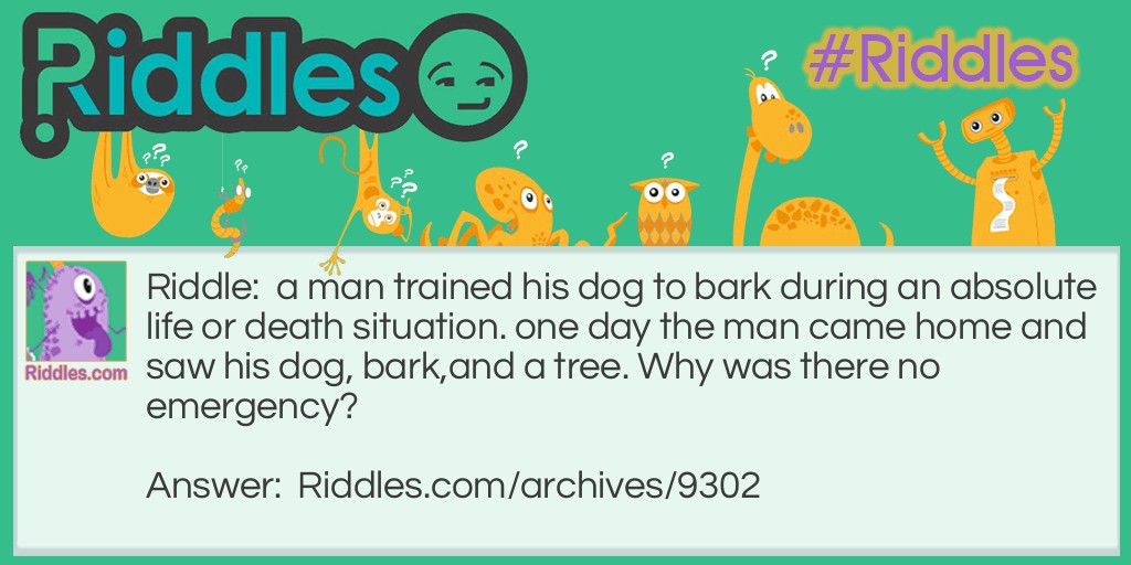 bark Riddle Meme.