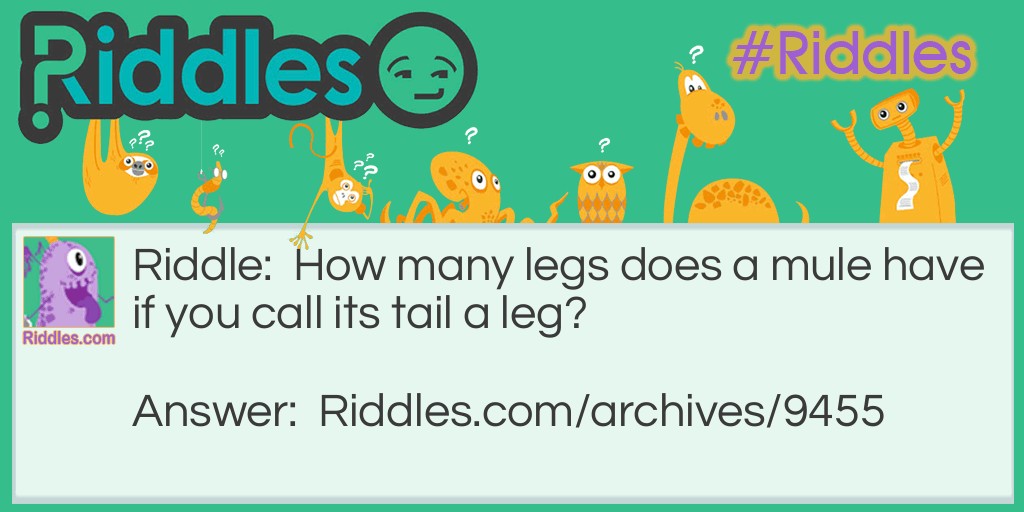 Legs Riddle Meme.