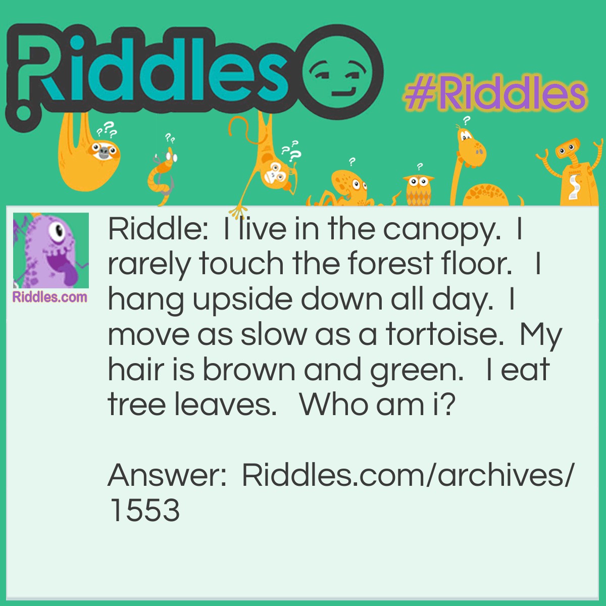 Animals Riddle Who Am I? - Riddles.com