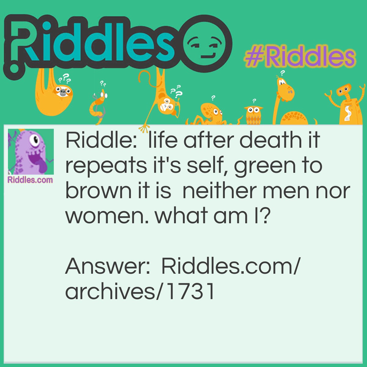 life-after-death-riddles