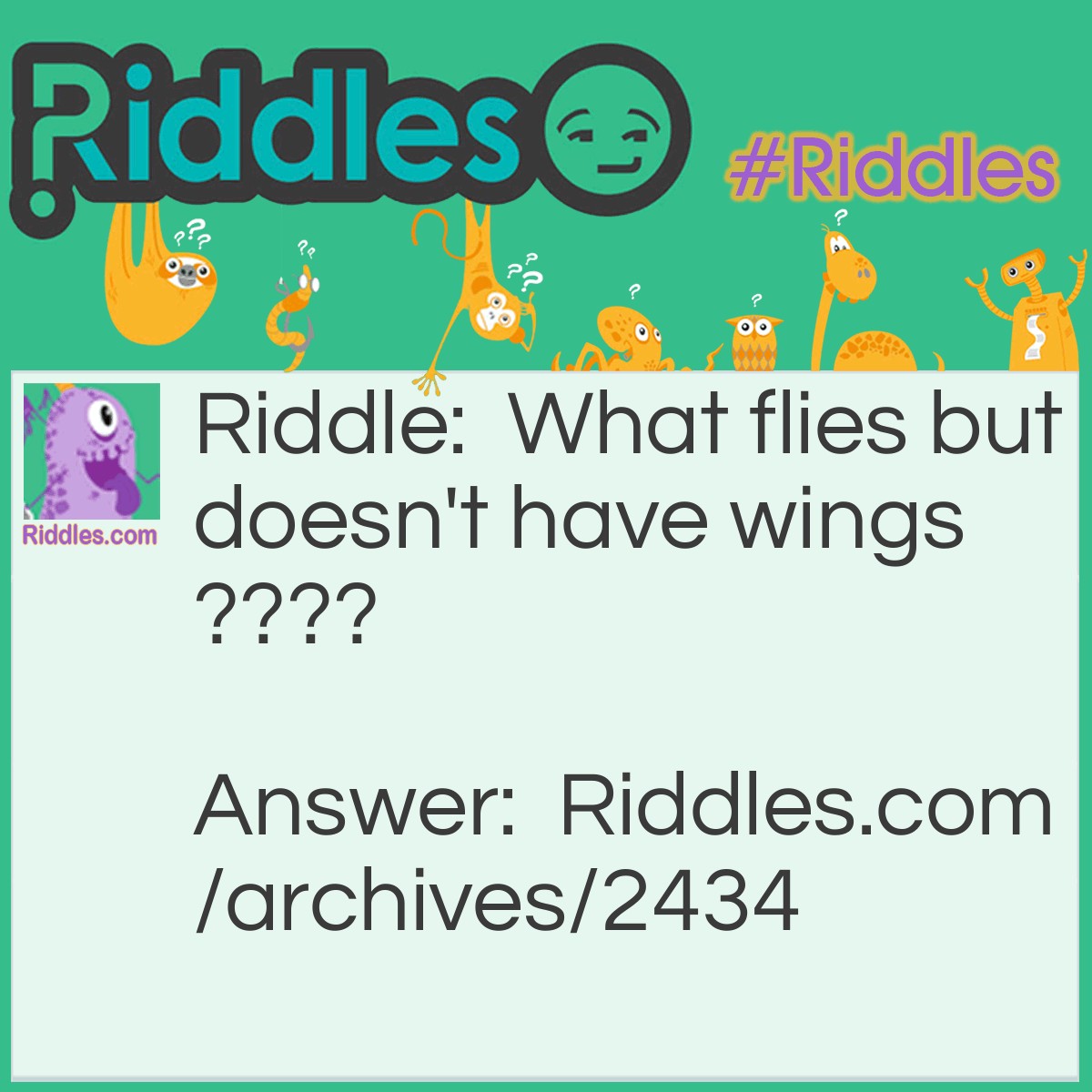 flying-riddles