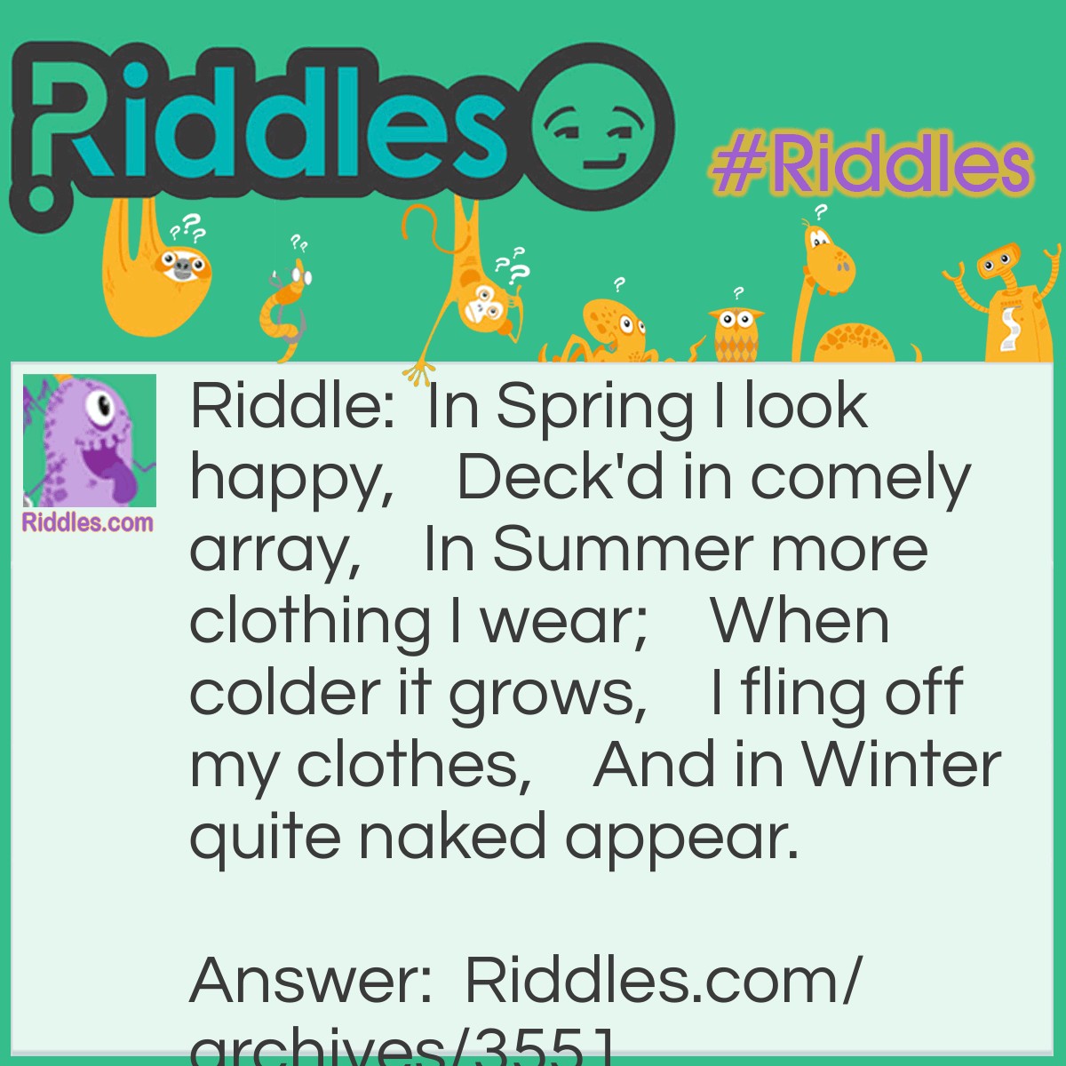 Spring And Summer - Riddles.com