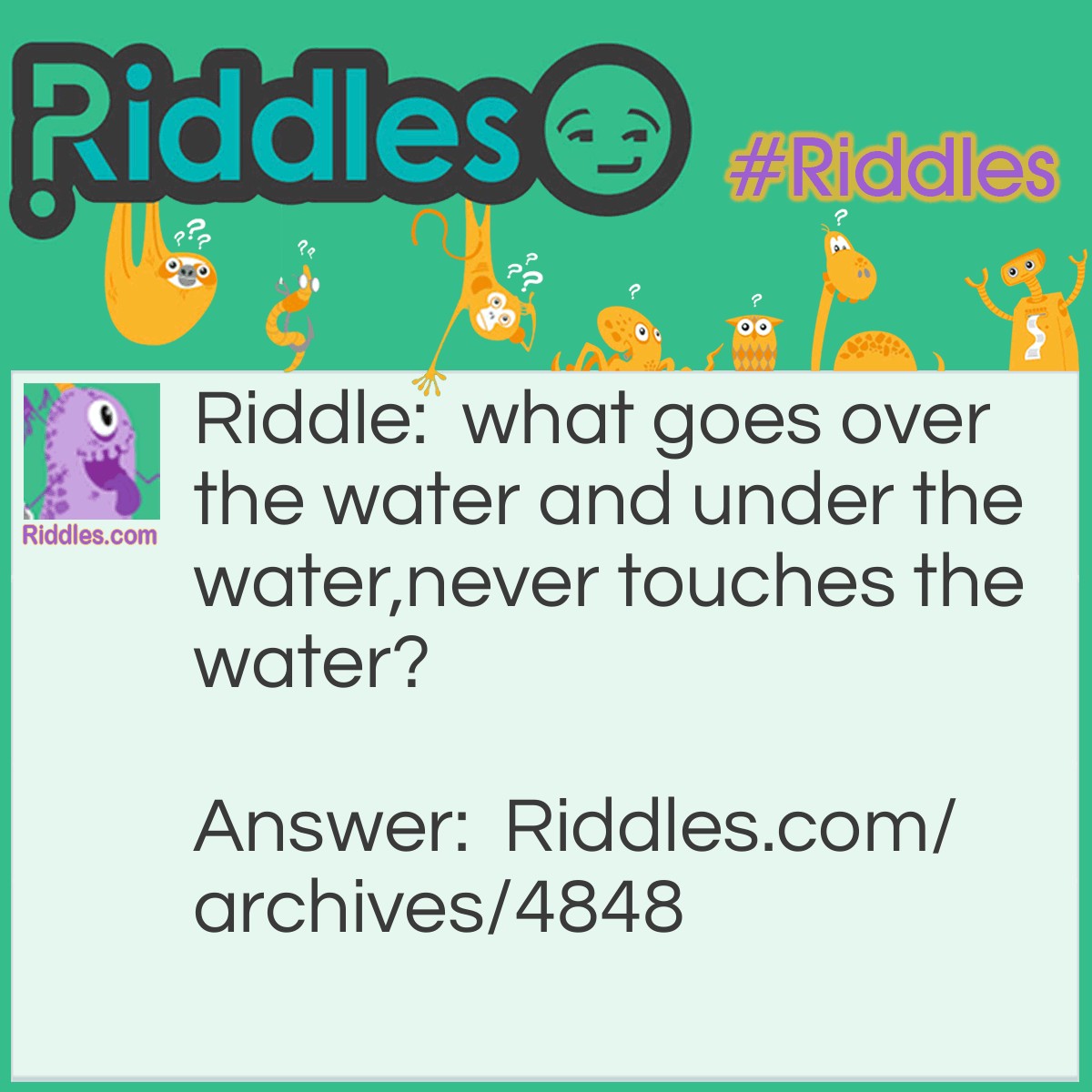 Read This - Riddles.com