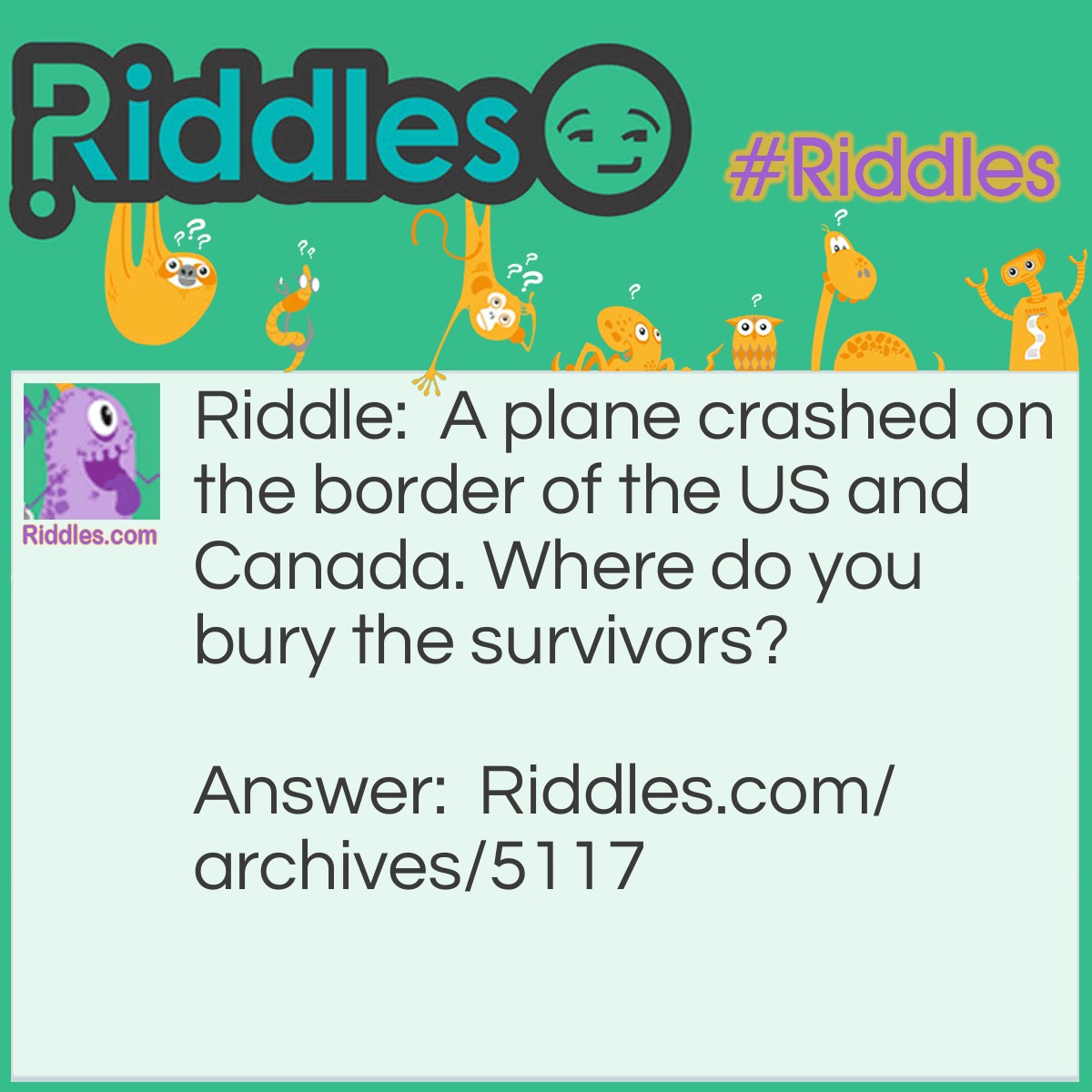 The Plane - Riddles.com