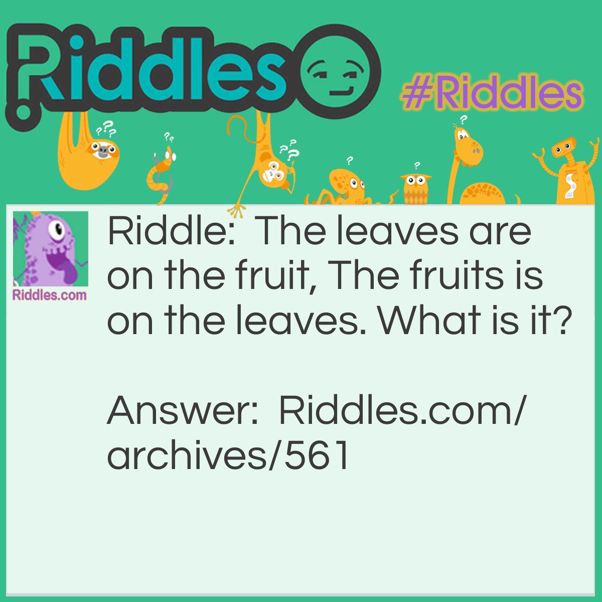 30-what-is-the-saddest-fruit-in-the-world-riddles-with-answers-to