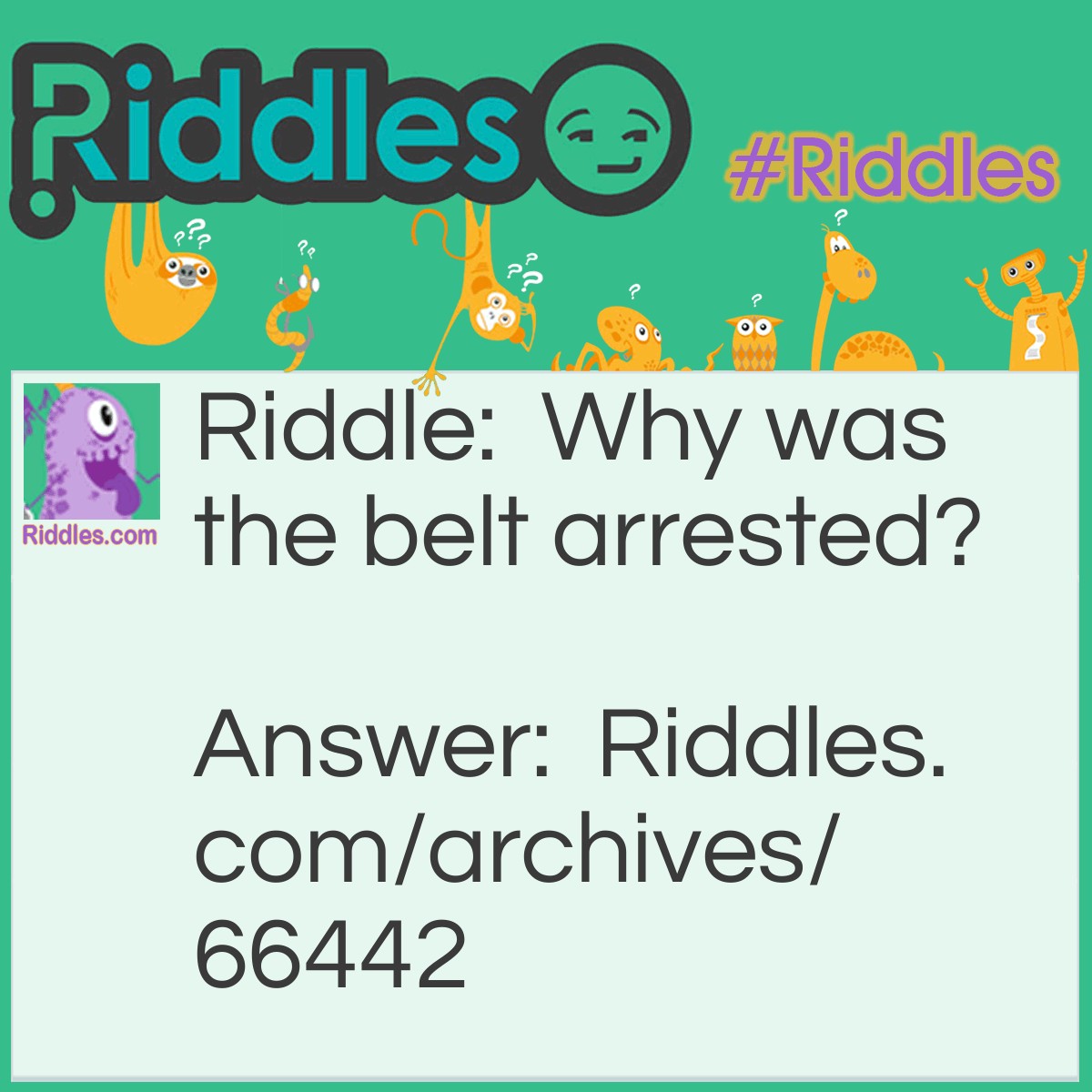 Bad Boy Belt - Riddles.com