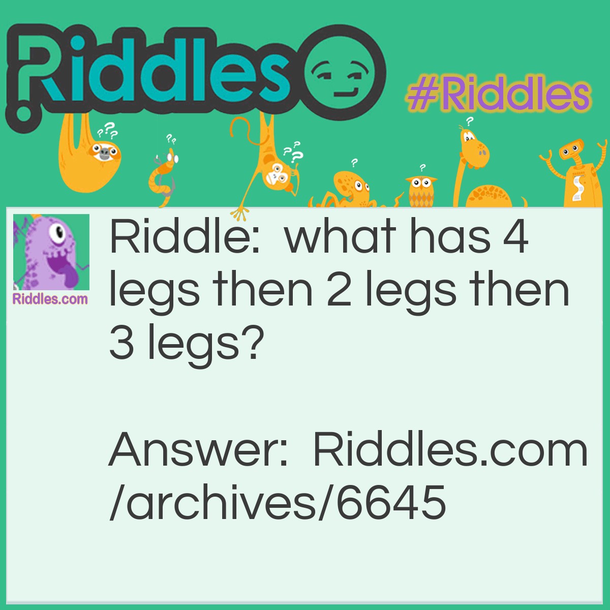 legs-riddles