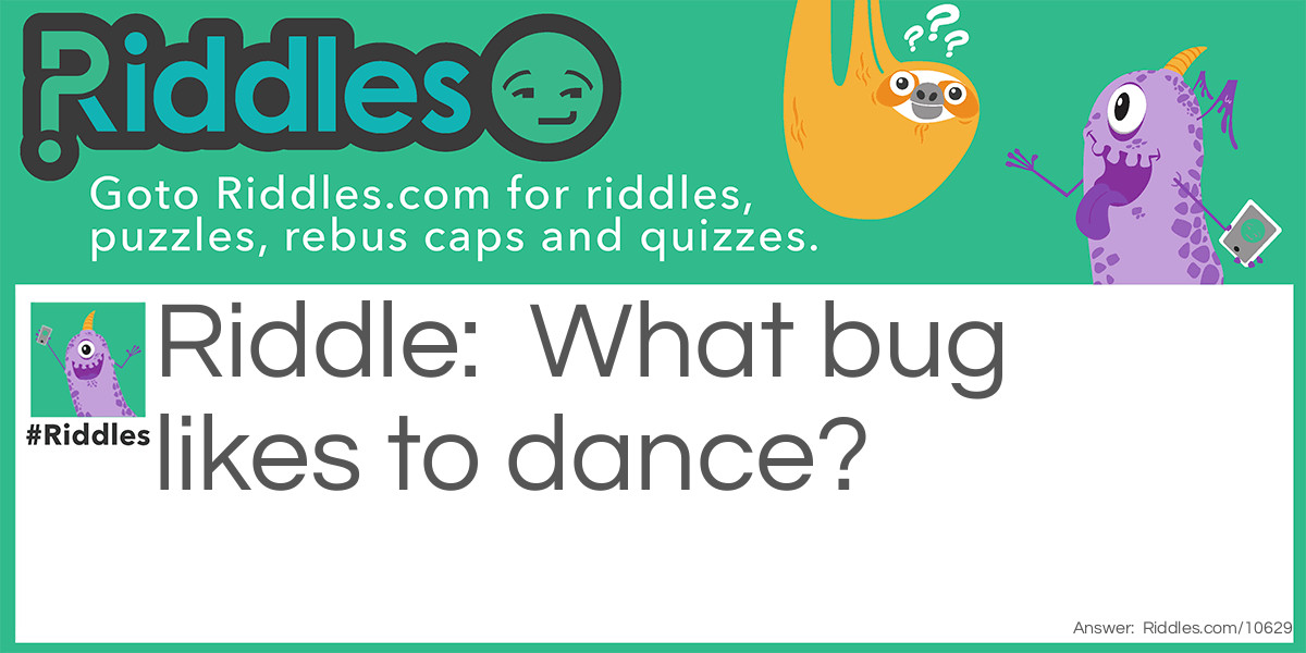 What bug likes to dance?