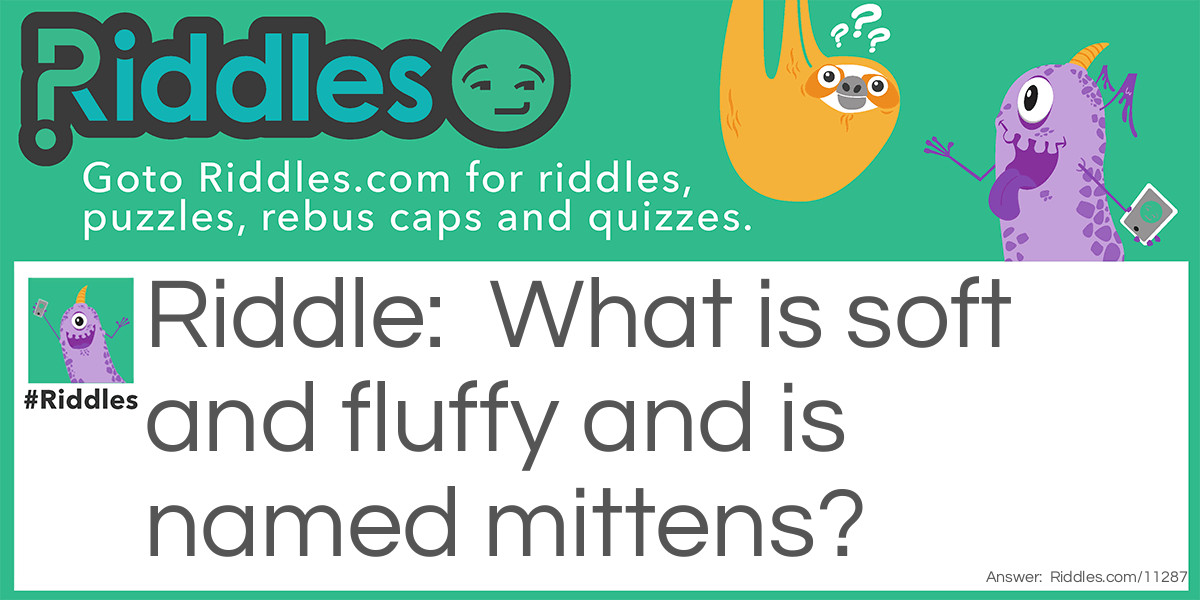 A riddle about my cat Riddle Meme.