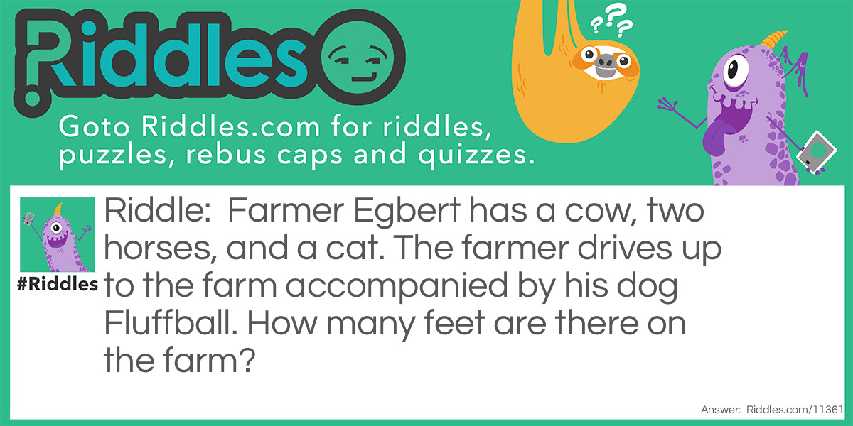 Farmer Egbert has a cow, two horses, and a cat. The farmer drives up to the farm accompanied by his dog Fluffball. How many feet are there on the farm?