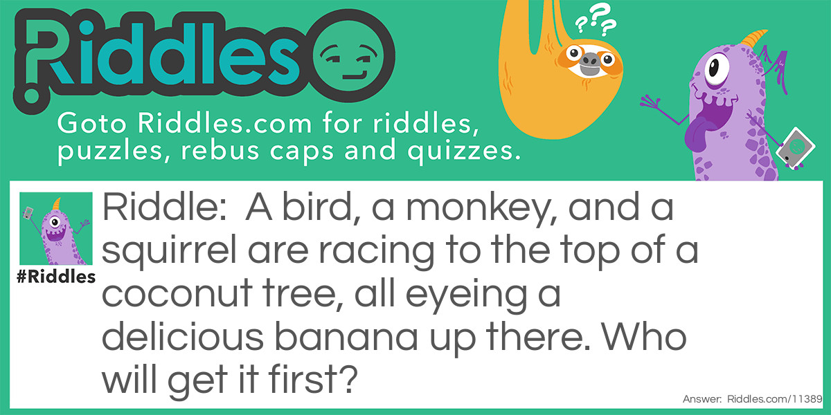 A bird, a monkey, and a squirrel are racing to the top of a coconut tree, all eyeing a delicious banana up there. Who will get it first?