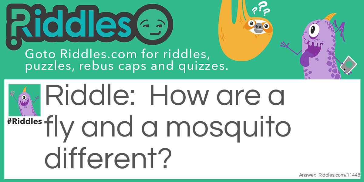 Different Insects Riddle Meme.