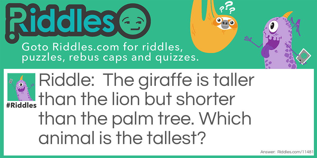 The giraffe is taller than the lion but shorter than the palm tree. Which animal is the tallest?