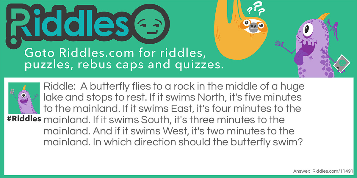 A butterfly flies to a rock in the middle of a huge lake and stops to rest. If it swims North, it's five minutes to the mainland. If it swims East, it's four minutes to the mainland. If it swims South, it's three minutes to the mainland. And if it swims West, it's two minutes to the mainland. In which direction should the butterfly swim?