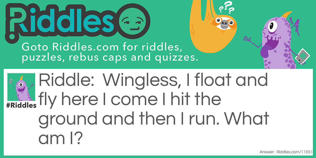 Wingless, I float and fly here I come I hit the ground and then I run. What am I?