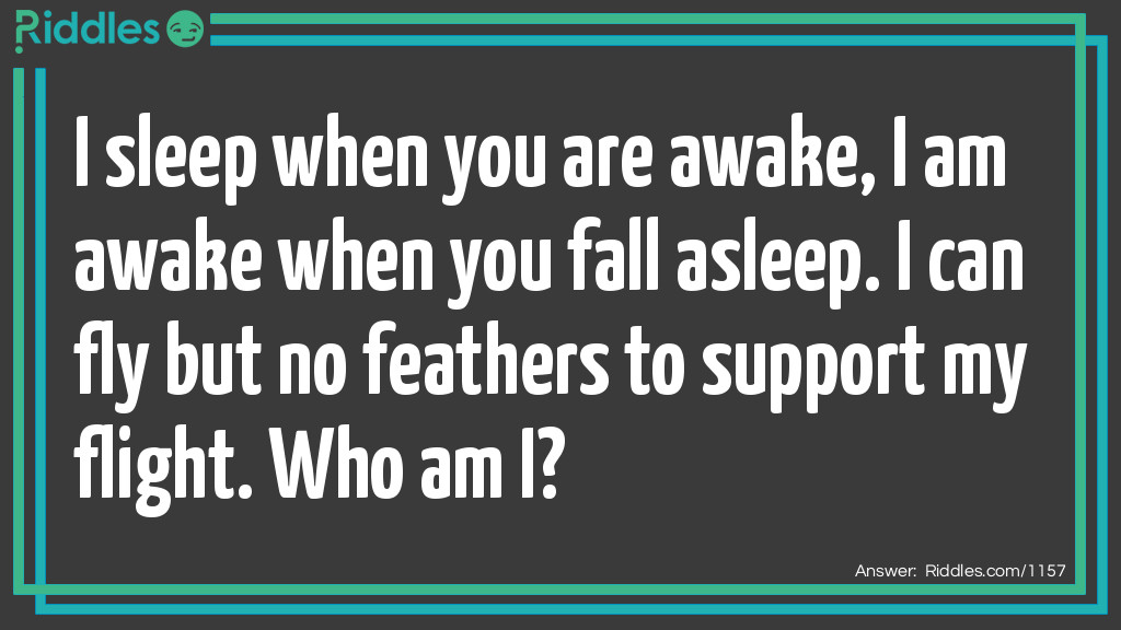 I sleep when you are awake Riddle Meme.