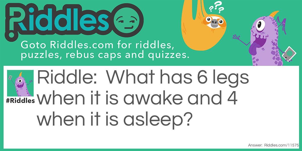 What has 6 legs when it is awake and 4 when it is asleep  Riddle Meme.