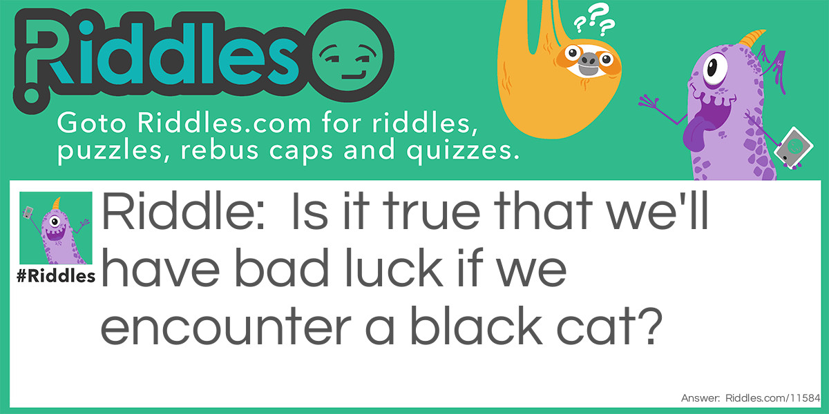Bad Luck & Black Cat Riddle Meme.