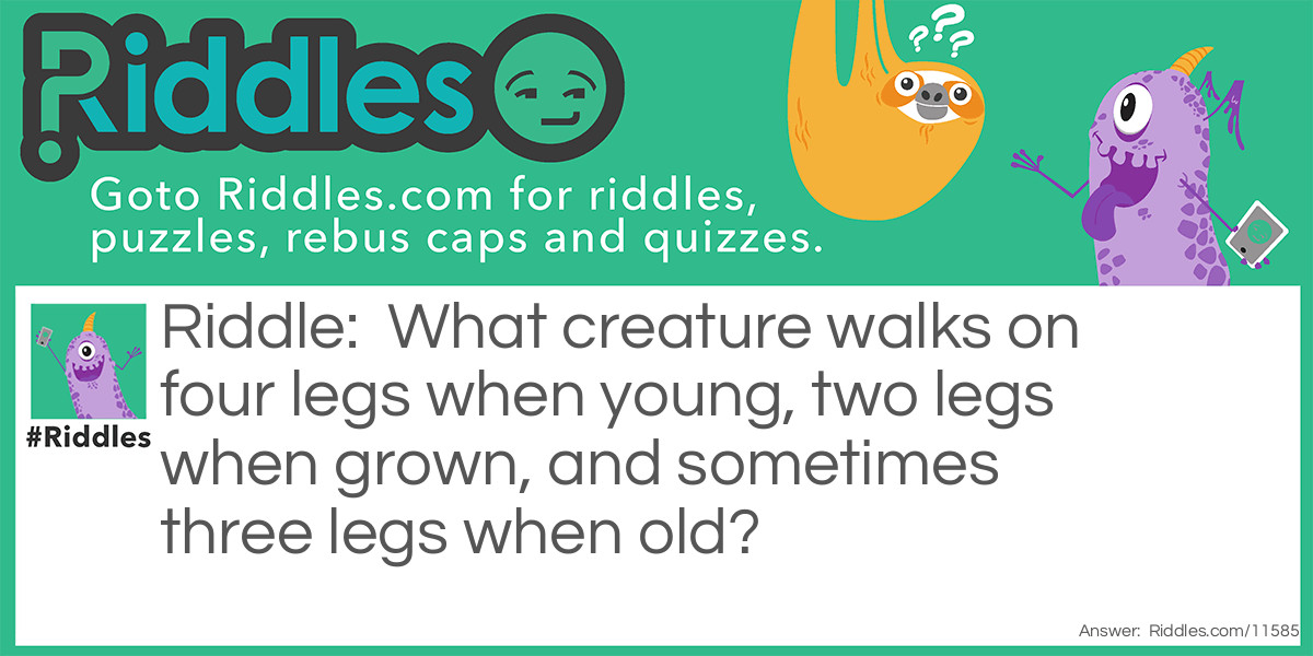 Peculiar Creature Riddle Meme.