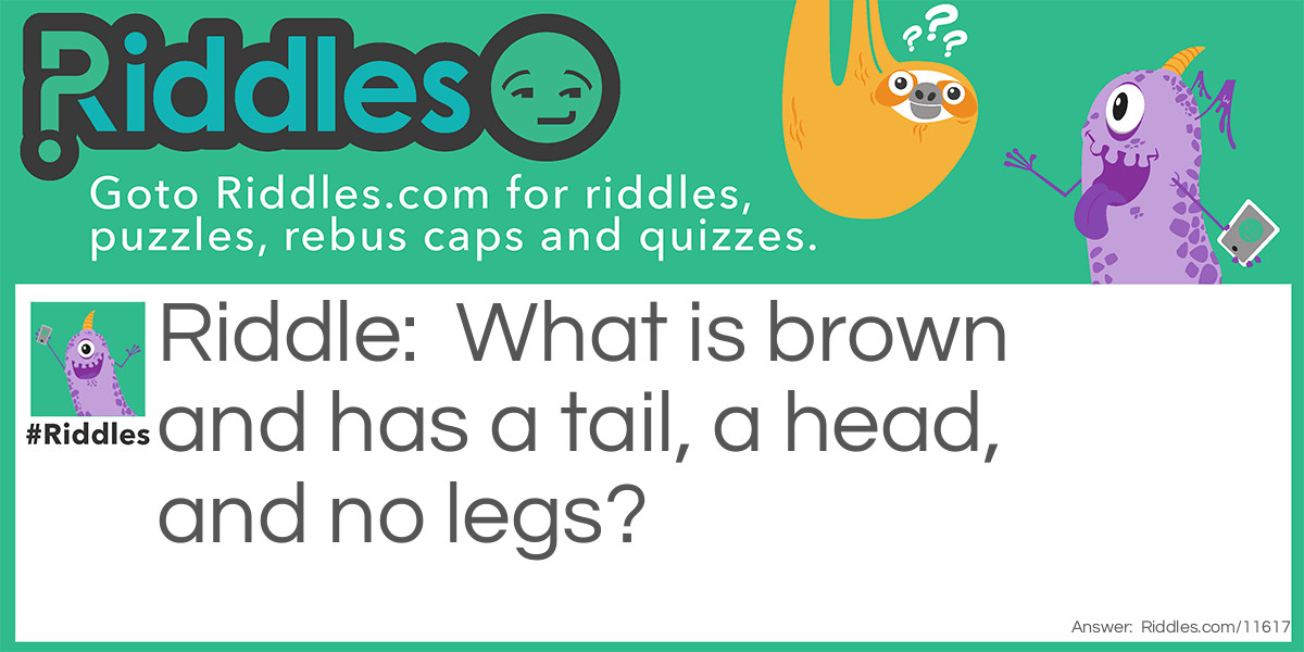 What is brown and has a tail... Riddle Meme.