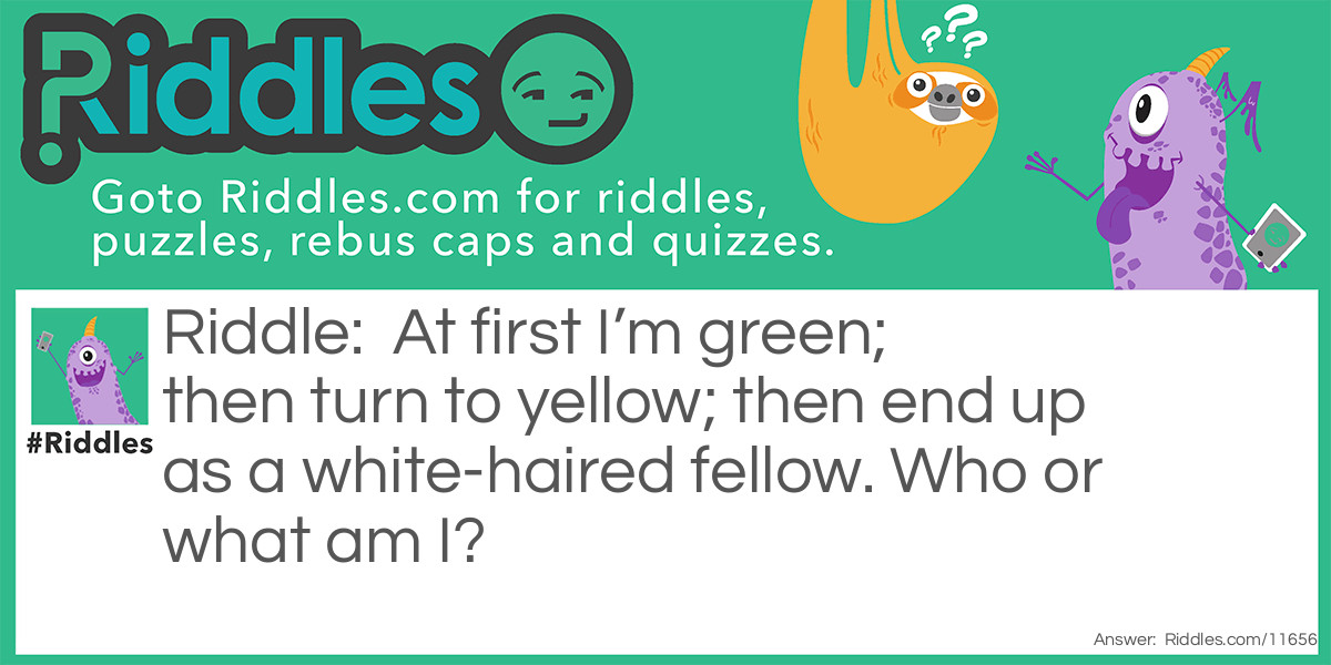At first I&rsquo;m green; then turn to yellow; then end up as a white-haired fellow. Who or what am I?