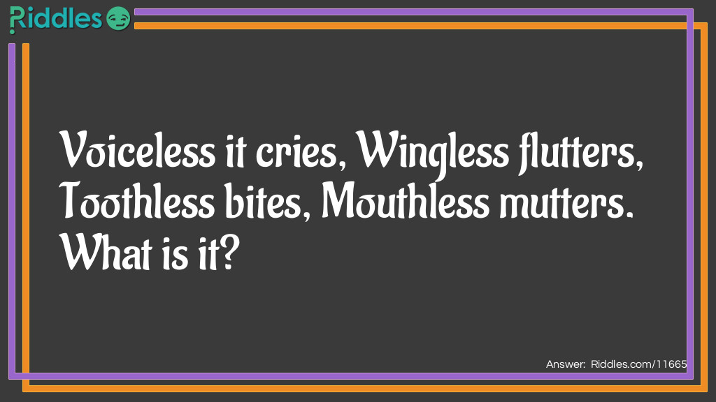 Riddle 1 Riddle Meme.