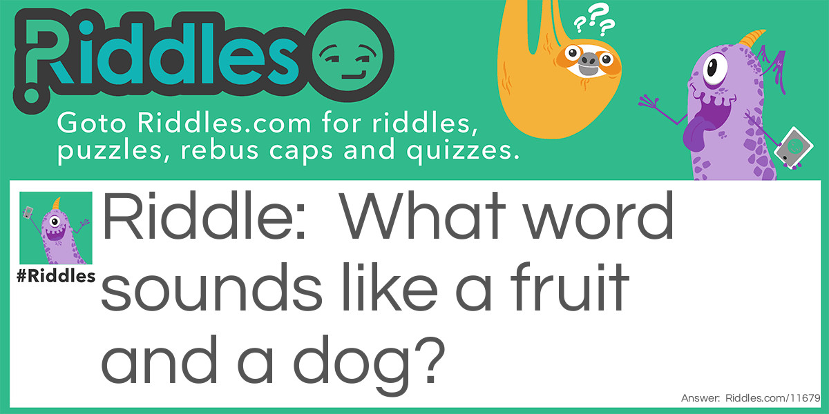 Sounds like a fruit and a dog Riddle Meme.