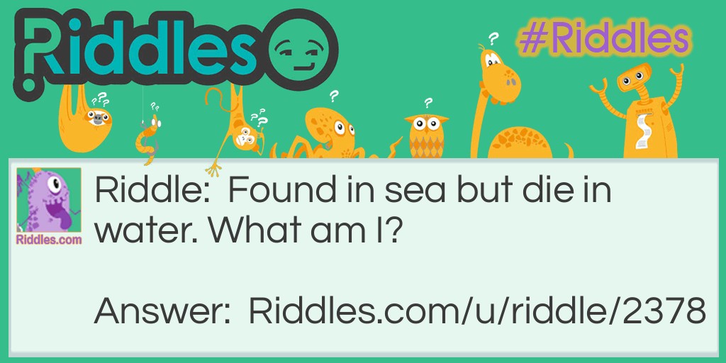 Found in sea but die in water Riddle Meme.