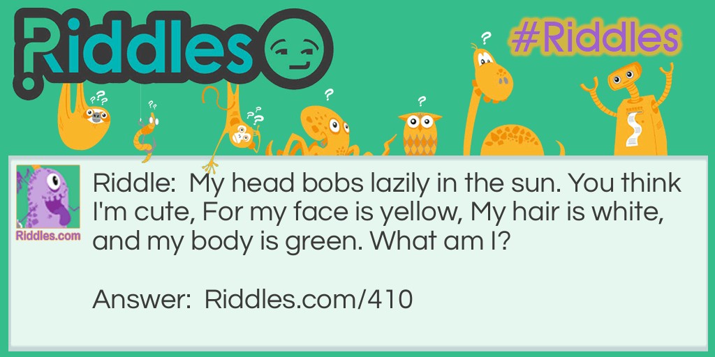 My Head Bobs Lazily In The Sun. You Think I'm Cute, For My Face ... -  Riddles & Answers 