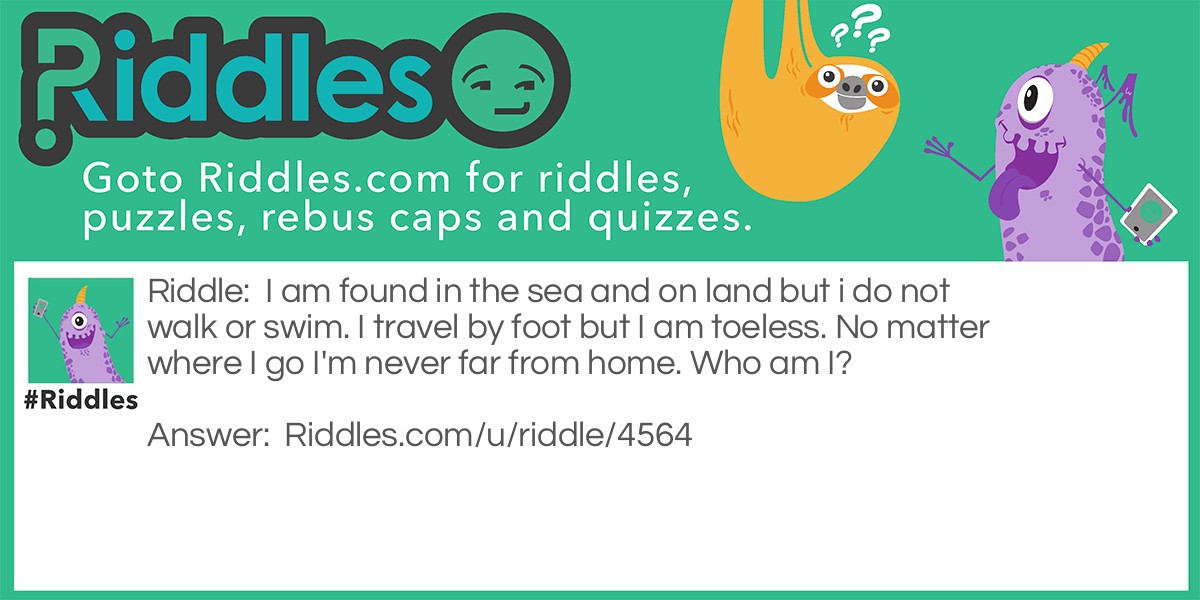 I am found in the sea and on land but i do not walk or swim. I travel by foot but I am toeless. No matter where I go I'm never far from home. Who am I?