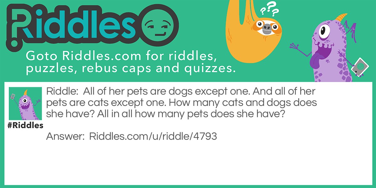 All of her pets are dogs except one. And all of her pets are cats except one. How many cats and dogs does she have? All in all how many pets does she have?
