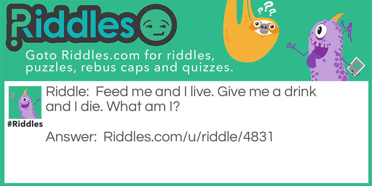 Feed me, but don't give me a Drink! Riddle Meme.