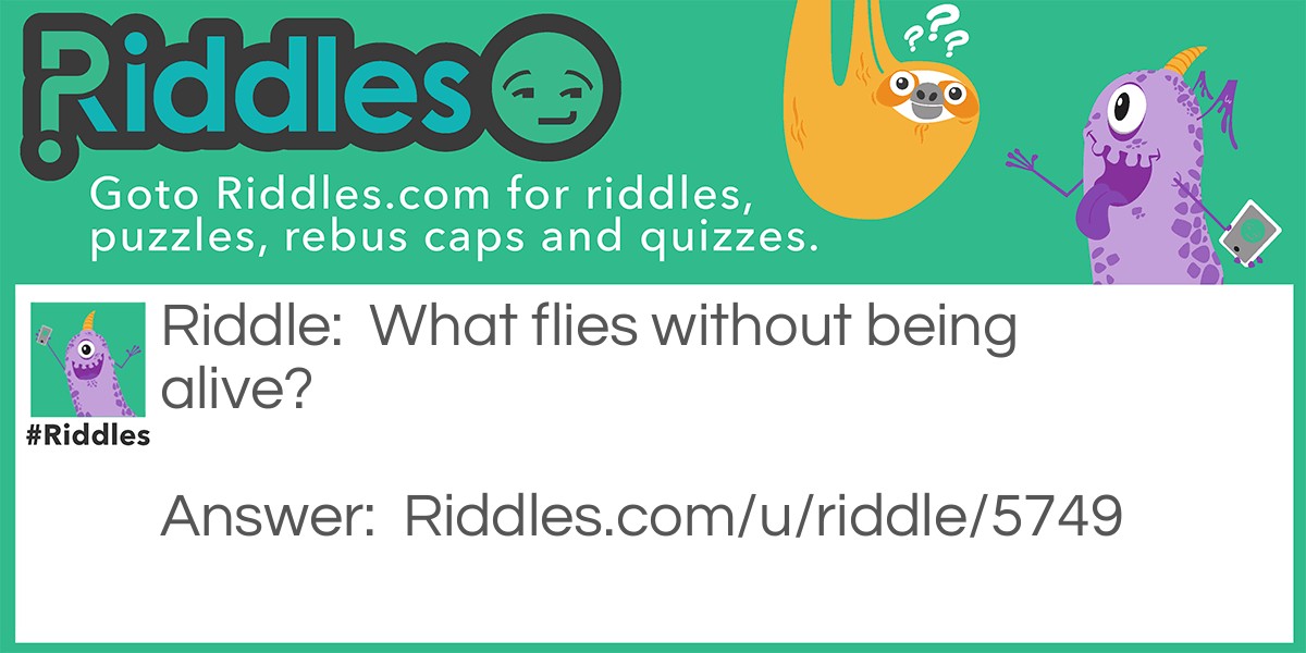 Don’t know Riddle Meme.