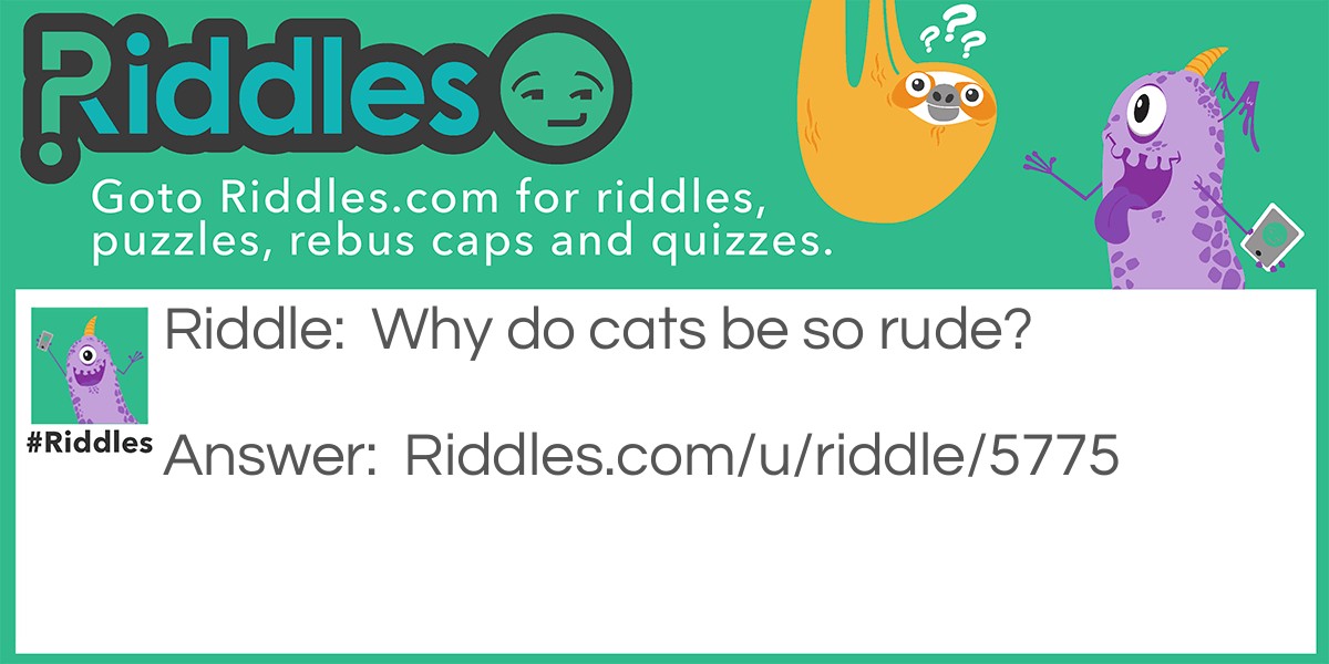 Why do cats be so rude Riddle Meme.