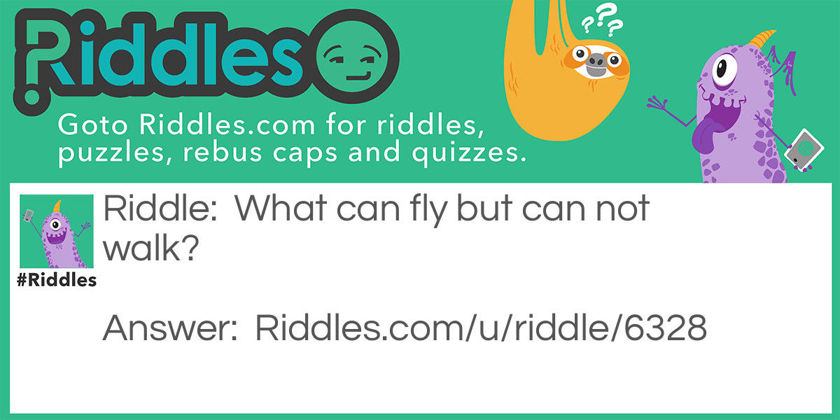 Fly but not walk? Riddle Meme.