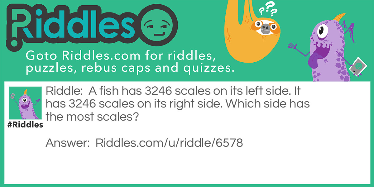 A fish has 3246 scales on its left side. It has 3246 scales on its right side. Which side has the most scales?