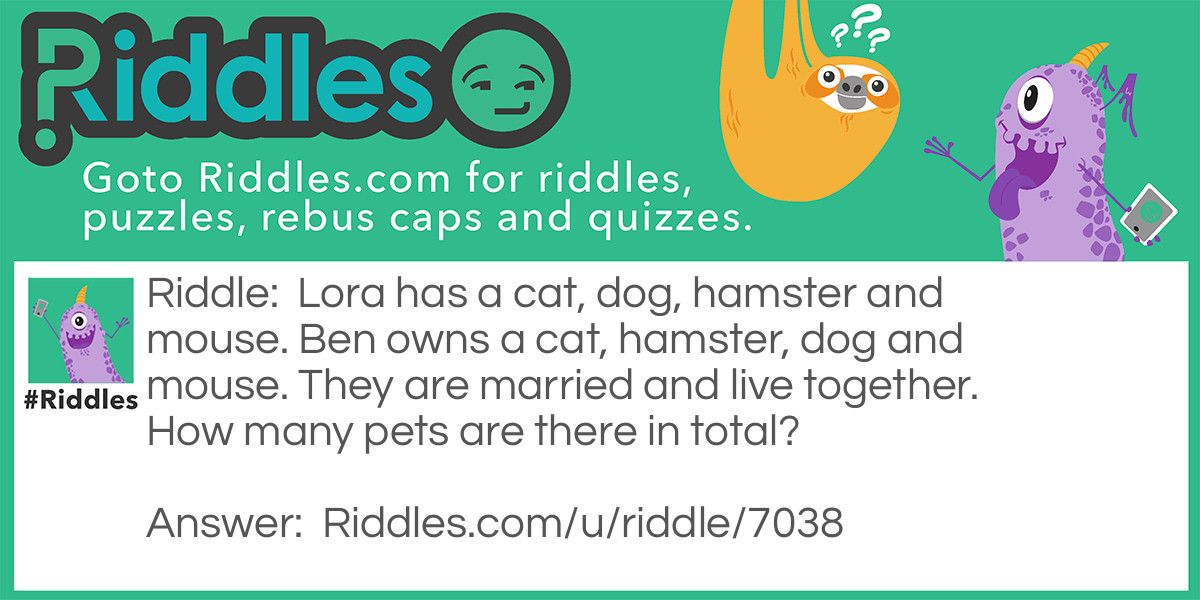 Pet dynasty Riddle Meme.