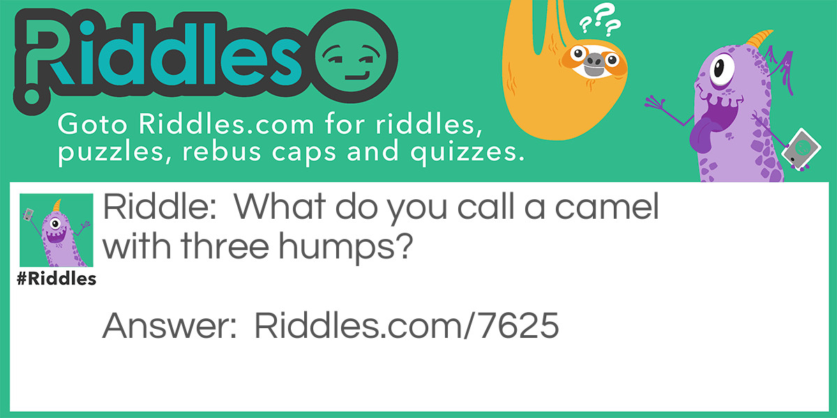 Camel with three humps Riddle Meme.